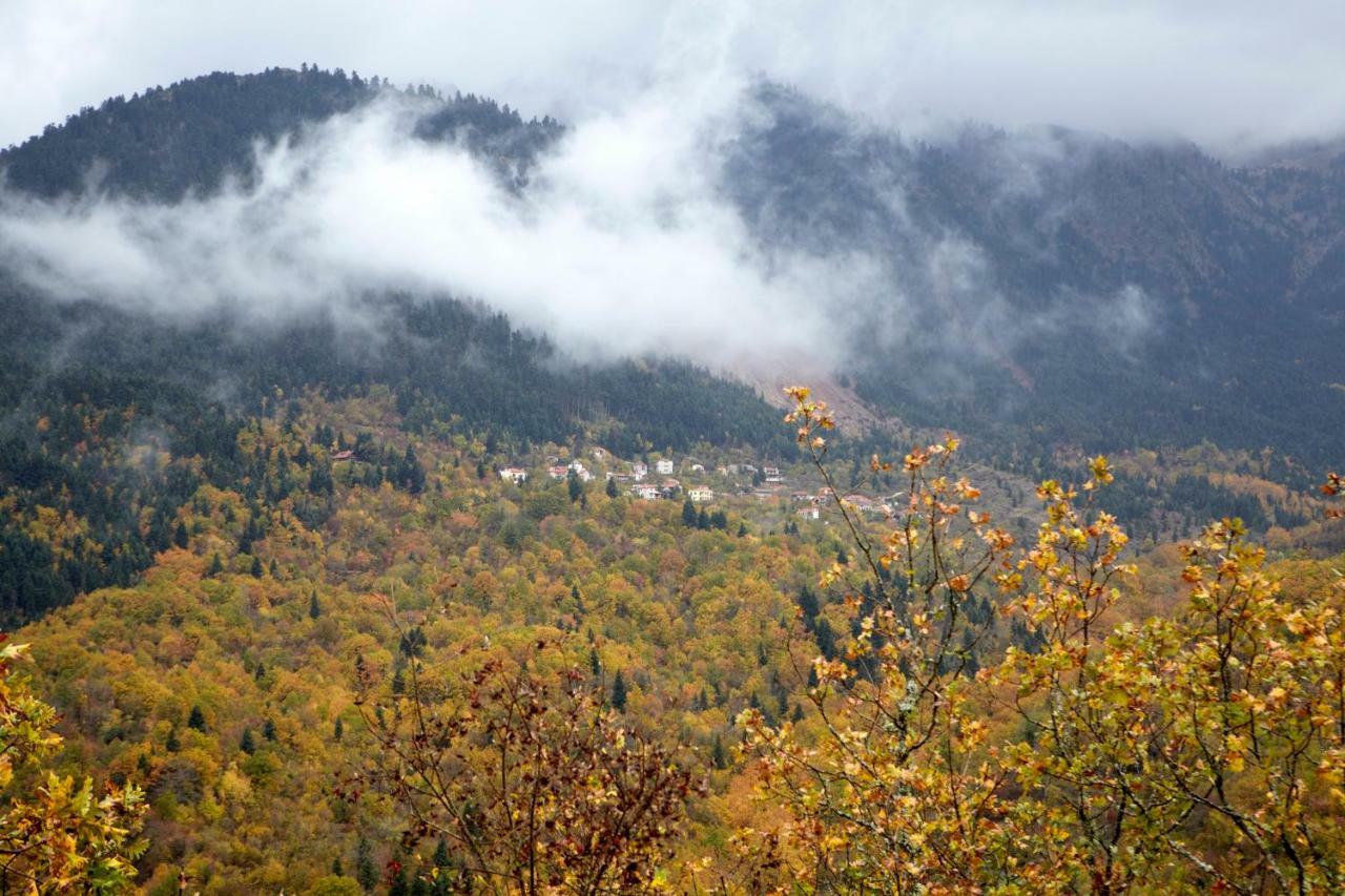 Ξενώνας Λεβάντα Ξενοδοχείο Mega Chorio Εξωτερικό φωτογραφία