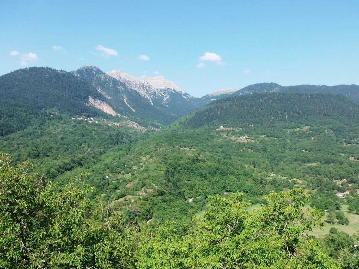 Ξενώνας Λεβάντα Ξενοδοχείο Mega Chorio Εξωτερικό φωτογραφία