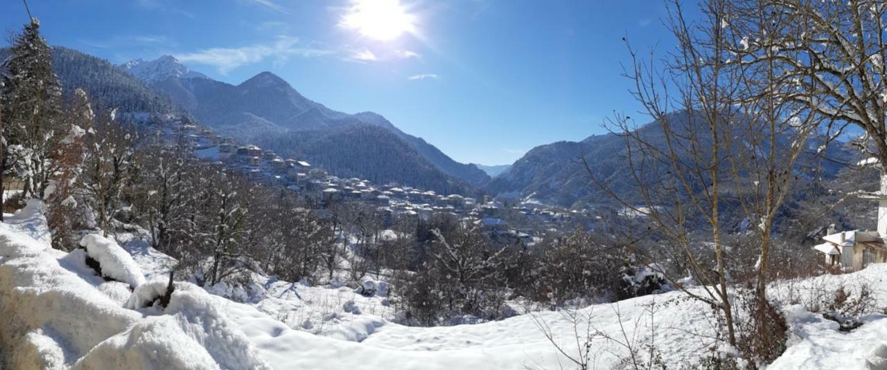 Ξενώνας Λεβάντα Ξενοδοχείο Mega Chorio Εξωτερικό φωτογραφία